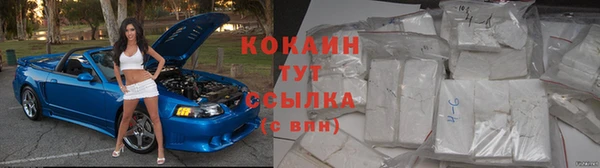 PSILOCYBIN Заволжье