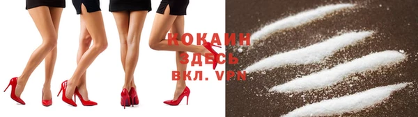 PSILOCYBIN Заволжье