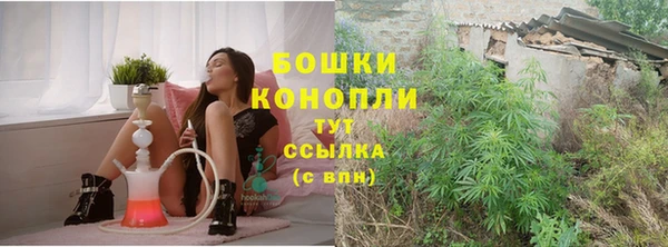 PSILOCYBIN Заволжье
