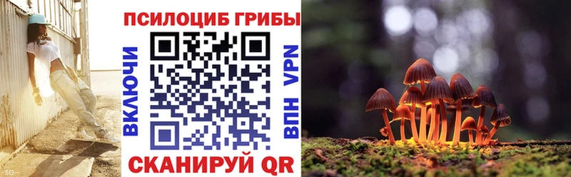 Купить где Искитим Галлюциногенные грибы мицелий